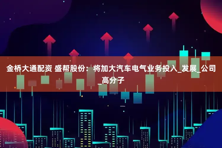 金桥大通配资 盛帮股份：将加大汽车电气业务投入_发展_公司_高分子