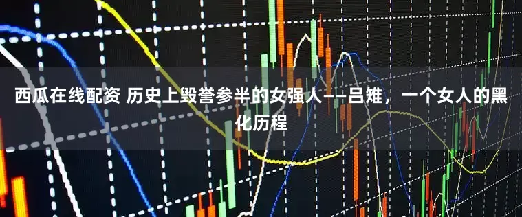 西瓜在线配资 历史上毁誉参半的女强人——吕雉,一个女人的黑化历程